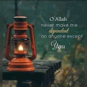 Meet your Posher, Hamdia